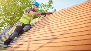 Best Roof Maintenance and Cleaning  in Forestville, OH